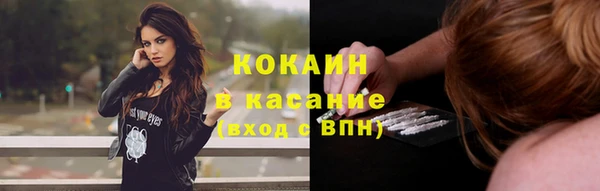 дживик Белокуриха